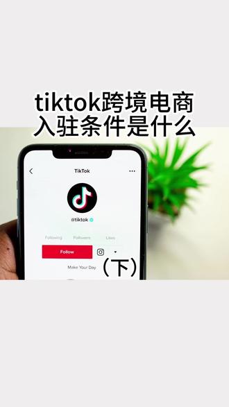 想入驻tiktok你必须知道的条件#tiktok #tiktok国际版 #tiktok精选 #tiktok跨境电商