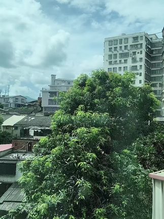 风景