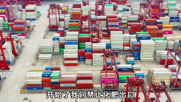 化肥禁令一出,最慌的竟是印度,印度紧急求助! #国际局势分析 #国际热点新闻 #国际关系 #热点话题 #国际空间站