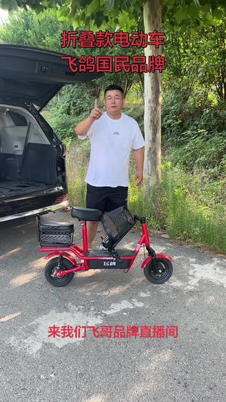 飞鸽国民品牌折叠款电动车 #飞鸽#折叠车#电动车