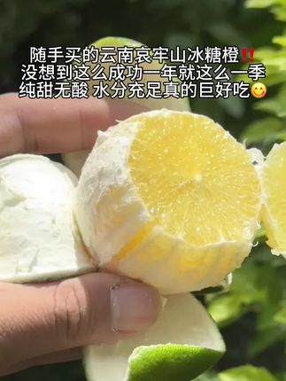 #云南哀牢山冰糖橙 别看它是绿皮,每个都真的巨甜巨多汁,纯甜无酸!#优质农产品 #橙子 #冰糖橙 #超便宜超划算