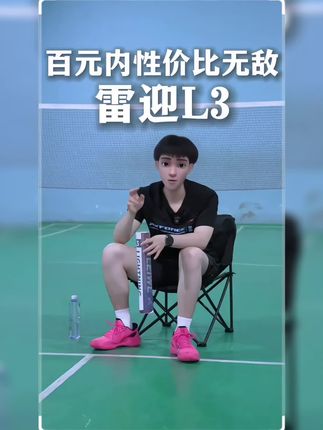 LEIYING 雷迎 L3全圆鹅毛飞行稳定耐打口粮羽毛球