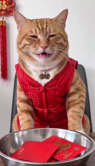 谁的小时候没被收过红包呢~给王虎虎一个完整的童年吧哈哈哈哈~#随变ai随便玩 #随变回收一些压岁钱 #猫咪 #橘猫