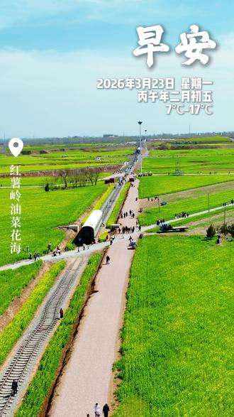 早安,3月23日,周一 清晨的风轻轻吹过,眼前这一片金灿灿的油菜花,温柔又治愈。愿这片明亮的金黄,能抚平你所有的疲惫与烦恼,帮你卸下压力,重启好心情,开启元气满满、顺顺利利的一天。新的一天,也要好好爱自己呀!#早安 #油菜花 #治愈