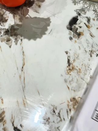 【9月产】忠厚高钙麦香早餐奶200ml*12每盒240mg钙儿童学生牛奶#懒人必备 #牛奶 #儿童#学生奶