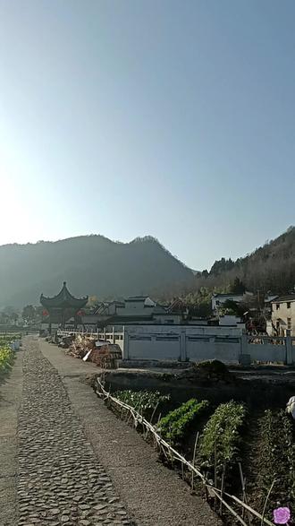 2026.2.20安徽省黄山市池州县高路亭村每年的3.20日漫山遍野的桃花盛开,油菜花开满遍地会更漂亮