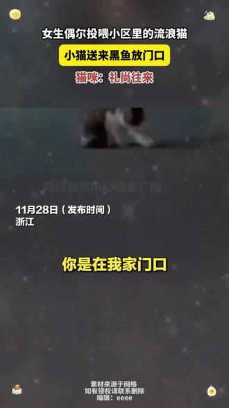 #女生偶尔投喂小区里的流浪猫
小猫送来黑鱼放门口
猫咪:礼尚往来
