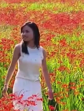 火焰兰,火星花,超长花期多年生庭院花卉,盆栽地栽都易活好养#浪漫花海 #火星花 #花卉 #庭院花卉 #太漂亮了