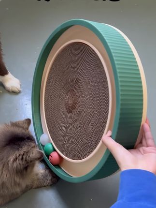 小猫也需要玩具,有人问“为什么要给小猫买玩具猫窝?因为有天去了上面,我不希望它只能听别的小猫讨论,自己的麻麻买了好玩的玩具,没人在家的时候,它却只能每夫呆呆的趴在床头”#猫咪 #猫窝