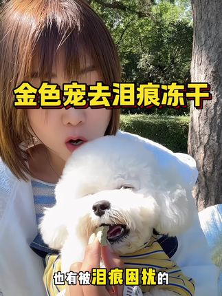 金色宠去泪痕冻干,里面有足量的牛磺酸叶黄素成分,帮助毛孩子清理淤堵,呵护泪腺,缓解泪痕,鸡肉鸭肉打底,适口性巨好,每天当零食吃两颗,用不了多久,就能看到明显的变化#金色宠#去泪痕冻干#萌宠好物#自用好物分享#去泪痕#冻干