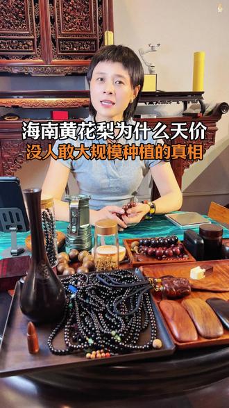 海黄贵到天价真相:20年树只有一圈芯材,成材要200年以上 #海南黄花梨 #文玩科普 #红木知识 #名贵木材 #家具收藏
