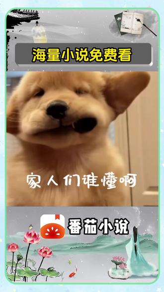 番茄小说真有你的#番茄小说