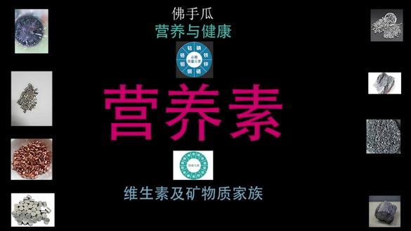 佛手瓜所含营养素