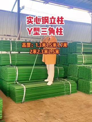 不用挖坑不用浇筑水泥直接用锤子定在土里50公分安装方便结实耐用免挖坑实心三角立柱#三农 #圈地养殖网 #立柱 #围栏立柱 #家庭农场