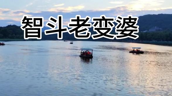 听过的人最小的应该也有36