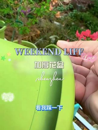 百乐欢Deepot四季加仑盆器透气加厚花盆种植立体耐用环保树脂花盆#养花小知识 #花盆#花盆推荐 #爱生活爱养花 #强烈推荐