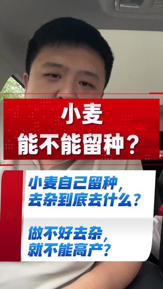 小麦种植能不能留种。小麦自己留种,去杂到底去什么?做不好去杂,就不能高产?#vlog十亿流量扶持计划 #麦农必看 #上热搜 #你踩过哪些行业坑 #小麦留种