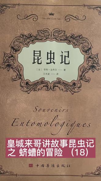 皇城来哥讲故事:昆虫记之蛴螬的冒险(18)