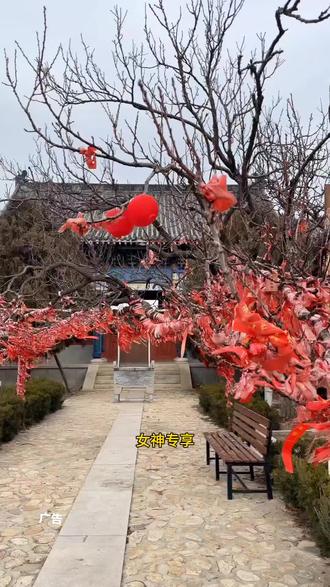 莱州大基山森林公园
3.8女神节(3天)的活动,从早9点到晚四点都有演出表演(猴戏、独竹漂@大基山森林公园官方号 #春节出游就到莱州大基山#旅行推荐官#三八妇女节
#莱州大基山森林公园