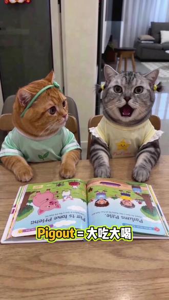 每天记住一个英语单词 猪从猪圈出去了会大吃大喝,pigout(大吃大喝、暴饮暴食)#趣味英语 #谐音梗 #萌宠 #日常英语 #英语单词速记