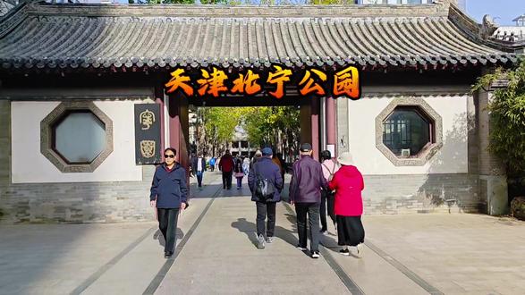 故地重游北宁公园,大象滑梯怎么找不到了呢?#天津北宁公园 #天津旅游