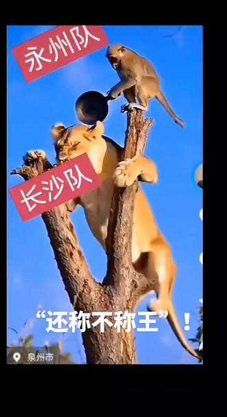 湘超:永州队拿下长沙队夺取总冠军!