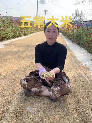 #风调雨顺大丰收#自家种植#五常原产地发货#