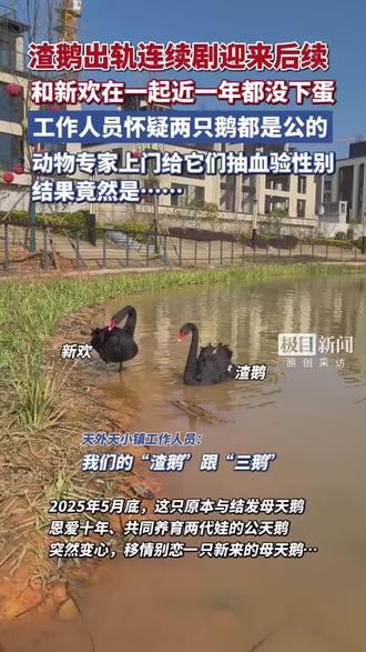 渣鹅也有不孕不育症,还是防孕措施做到位了?