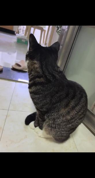 爱的桥段,叫我怎么写~