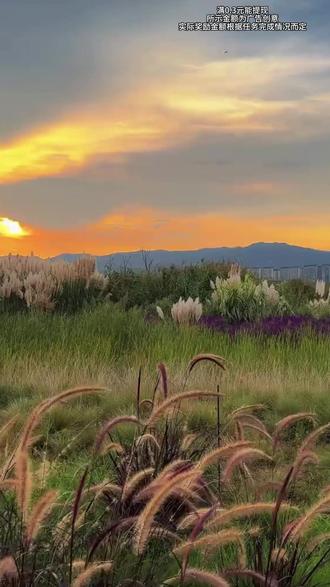 还不来薅羊毛?错过了就没有啦! #汽水音乐