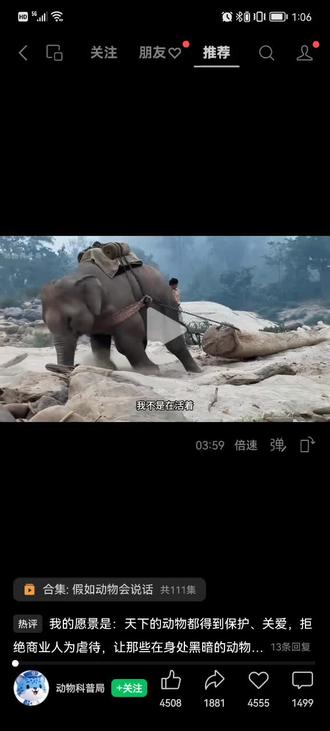 动物是地球的一部分……