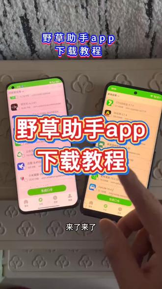 《道一分享》野草助手下载教程 野草助手#野草助手 #野草助手怎么下载 #野草助手安装码 #玩机技巧