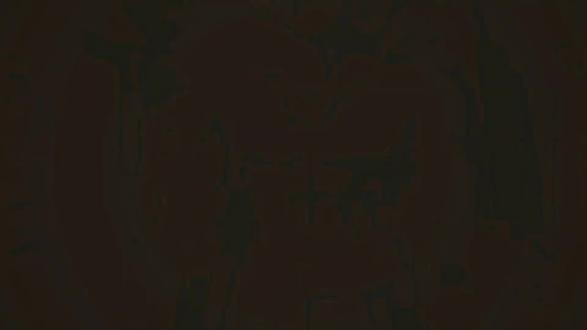 告诉玄武国,我要刺杀首领