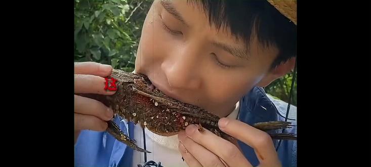 看完视频后,你还敢吃清道夫吗?