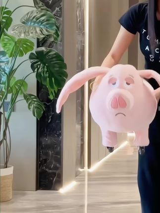 欧貂毛飞天猪板凳溜溜凳沙发脚踏入户换鞋儿童滑轮凳玩偶毛绒可爱#凳子#居家好物#软装 #滑轮凳子#毛绒玩具