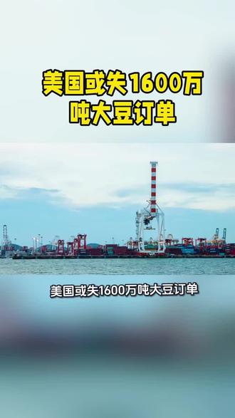 美国或失1600万吨大豆订单#美国大豆 #关税