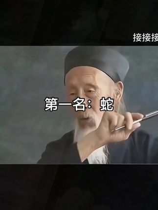#77年的蛇 #65年的蛇 #03年的蛇 #生肖蛇 #属蛇