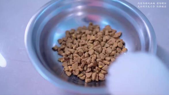 #萌宠嘉年华 #萌宠