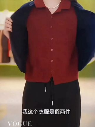 时尚翻领拼色设计感减龄针织衫女秋季新款假两件毛衣通勤外套上衣