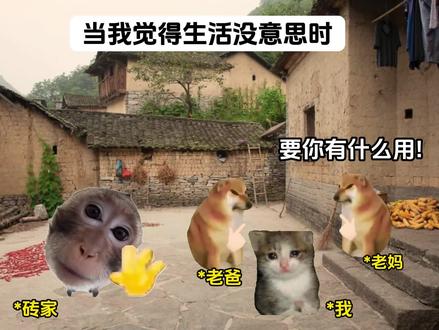 当我觉得生活没意思时#猫meme #拒绝内耗 #内耗 #开心