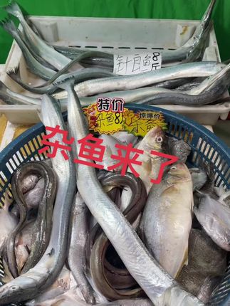 需要小黄车拍