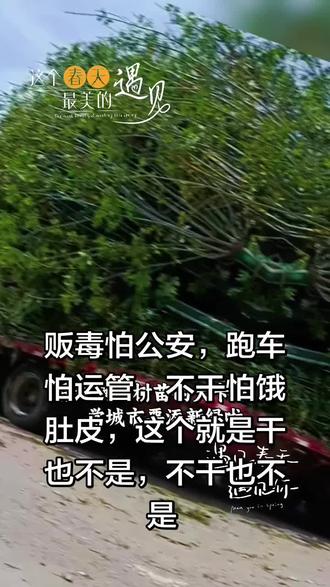 大板车闻风丧胆的地方,菏泽济宁泰安,