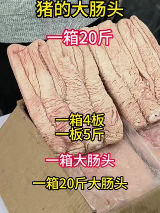 大肠头一箱20斤 #大肠头#精品免洗大肠头#猪副#餐饮食材#冻品批发