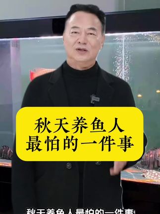秋天养鱼不驱虫。等于在养虫。鱼友们要注意了#养鱼日记#养鱼驱虫 #鱼虫清#养鱼