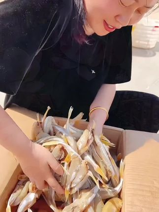 快来抢这个红娘鱼干 6.9到手半斤 还都是去头去尾的 红烧.香煎都特别好吃#海鲜 #海产干货 #红娘鱼 #红娘子鱼 #红娘鱼干