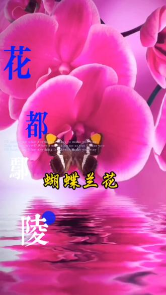 #一起享受大自然的美 #蝴蝶兰花,象征幸福长久,也是表达爱情的信物!