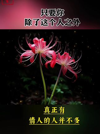 #人间清醒 #修心养性禅悟人生 #治愈 #情感