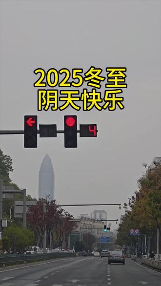 2025冬至,阴#冬至#阴天快乐#周末最后一天#遵守交规