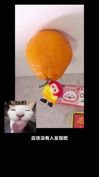 这招太甜菜了#yoyo #yoyo酱 #万物皆可举