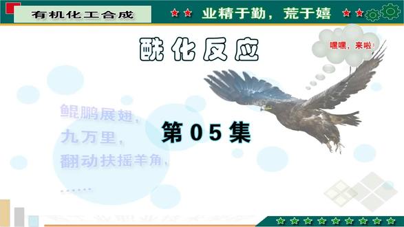 酰化反应 通过酰化反应合成的有机化合物(肼基甲酸叔丁酯、苄氧羰基甘氨酸、N-氯-N-吡啶基乙酰肼)